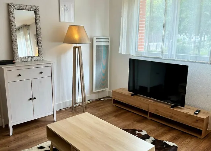 Le Baltimore Avec Climatisation Piscine Et Parking Τουλούζη